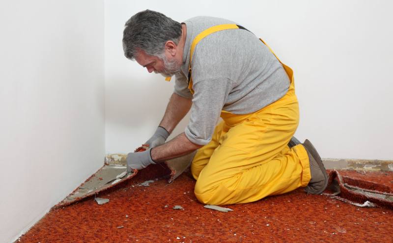 How to Remove Carpet Glue from Wood & Concrete Floors (2024)